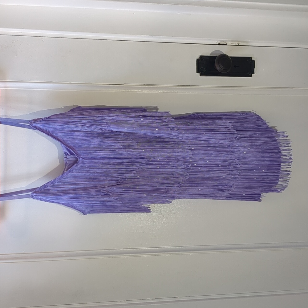 Purple Fringe Dress